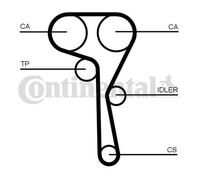 CONTINENTAL CTAM CT1167K8 Kit Cinghia Distribuzione per Audi, Cupra, Seat, Skoda