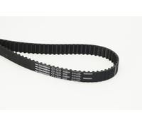 CONTITECH CT1237 Cinghia dentata