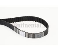 CONTINENTAL CTAM CT1244 Cinghia Distribuzione per Dacia,Mercedes-Benz, Nissan,