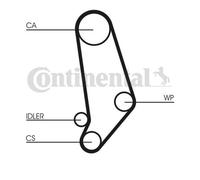 Continental Ctam CT539K1 Dentate per Audi Quattro 80 90 100 200