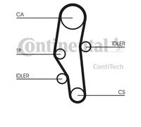 Set di cinghie di distribuzione CONTINENTAL CT589K1