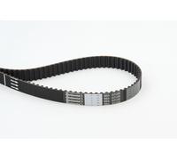 Cinghia di distribuzione CONTINENTAL CT788