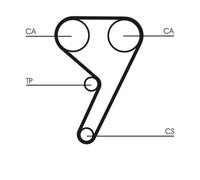 CONTITECH Kit cinghia di distribuzione CT881K1 N° denti: 117 22mm