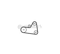 CONTINENTAL CTAM 6PK1710K1 Kit Cinghie Poly-V per CITROËN,FIAT,PEUGEOT