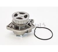 CONTINENTAL CTAM Pompa dell’acqua, raffreddamento motore WP6004