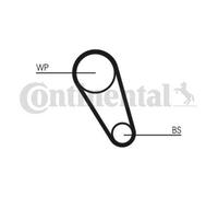 CONTINENTAL CTAM Pompa Dell'Acqua + Kit Cinghia Dentata Per VW Golf VII 5G1 BE1