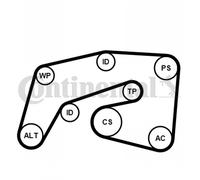 CONTINENTAL CTAM Set Cinghia Scanalata per Mercedes-Benz Classe M W164 Vito Bus