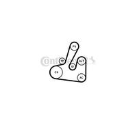 Kit cinghia trapezoidale multirighe con rullo tenditore 6PK1705K2 per PEUGEOT
