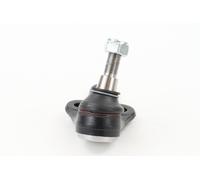 CONTINENTAL CTAM SUG1031 Giunto di supporto / guida per FORD,VOLVO
