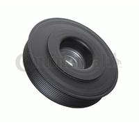 STARK SKBPC-0640046 Puleggia cinghia albero a gomiti per NISSAN PRIMERA (P12)