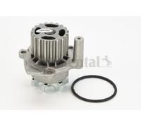 CONTITECH WP6001 Pompa acqua