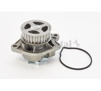 CONTINENTAL CTAM WP6004 Pompa dell’acqua, raffreddamento motore per AUDI,SEAT,SK