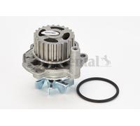 CONTINENTAL CTAM WP6041 Pompa dell’acqua, raffreddamento motore per AUDI,SEAT,SK