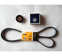 Continental Poly-V + Rullo Tendicinghia Mercedes Benz Classe E W210 S210 CDI