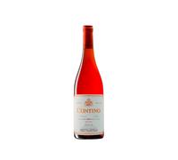 Contino Rosado 2021