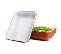 CONTITAL AS224750 | Vaschette Alluminio 12 Porzioni Laccato Bianco/Rame, 25 Pezzi Extra-Rigidi | Contenitori Monouso Eleganti per Microonde, Asporto | Teglie Alluminio per Alimenti
