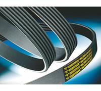 CONTITECH 10PK1075 Cinghia servizi
