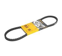 CONTITECH 11,9X783Ld Cinghia trapezoidale Cinghia Scanalate Cinghia trapezoidale dentellata Cinghie di trasmissione trapezoidali