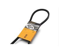 CONTITECH 2XAVX13X1225 Kit cinghie trapezoidali Cinghia Scanalate Cinghia Trapezoidale