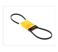 CONTITECH 3PK905 Cinghia servizi per FIAT GRANDE PUNTO (199) QUBO (225) 905mm