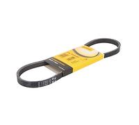 Contitech 4 PK 753 ELAST Cinghie Trapezoidale