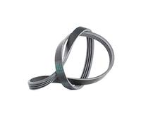 Contitech 4 PK 775 Cinghie Trapezoidale