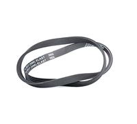 4PK917 ELAST CONTINENTAL CTAM Cinghia Poly-V per BMW,FIAT