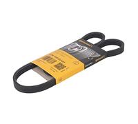 4PK1022 ELAST CONTINENTAL CTAM Cinghia Poly-V per FIAT