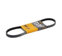 CONTITECH 4PK735 Cinghia servizi