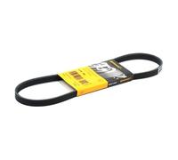 CONTITECH 4PK780 Cinghia servizi per OPEL Omega B Sedan (V94) per BMW 7 (E38)