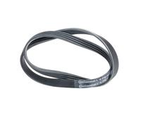 CONTITECH 4PK800 Cinghia servizi