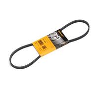 CONTITECH 4PK866 Cinghia servizi per BMW 3 Sedan (E46) 866mm