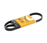 Cinghia a V CONTITECH 4PK885