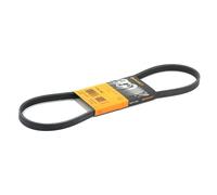 Cinghia Poly V Continental Ctam 4PK890 per Audi Austin Bmw Chrysler Fiat Mazda