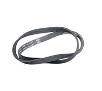 CONTINENTAL CTAM cinghia Poly-V 4PK917ELAST 4PK917 4 nervature 917 mm