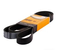 Contitech Cinghia Poly-V 4Pk924Elast