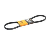 CONTITECH 4PK970 Cinghia servizi per BMW 3 Limousine (E46) 3 Coupe (E46) 970mm