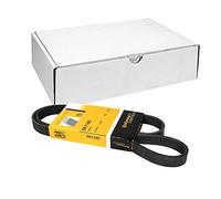 Cinghia Poly-V CONTINENTAL 5PK1100