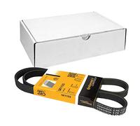 Cinghia Poly-V - CONTINENTAL CTAM 5PK1155
