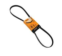 ContiTech Cinghia Poly V 5PK1219 per Alfa Romeo, Citroën, Fiat e Mitsubishi