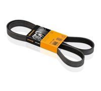 CONTINENTAL CTAM cinghia Poly-V 5PK1300 5PK1300 5 nervature 1.300 mm