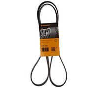 Cinghia Poly-V CONTINENTAL 5PK1592