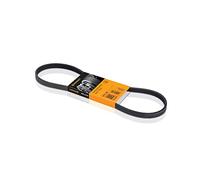 CONTITECH 5 PK 836 Cinghie Trapeiz