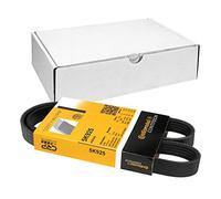 Contitech Cinghia Poly-V 5Pk925