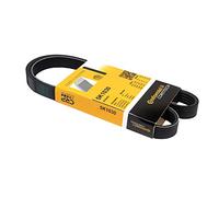 CONTINENTAL CTAM Cinghia Poly-V per CITROËN FIAT MAZDA OPEL PEUGEOT SAAB