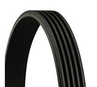 CONTITECH 5PK1100 Cinghia servizi per RENAULT CLIO II (BB0/1/2, CB0/1/2) 1100mm