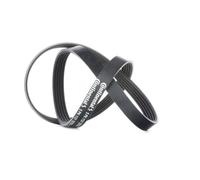 CONTITECH 5PK1121 EXTRA Cinghia servizi per VOLVO XC60 (156) 1121mm