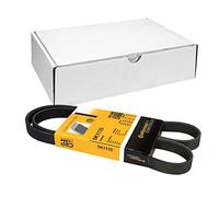 CONTITECH 5PK1135 Cinghia Poly-V