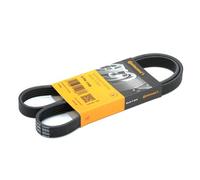 CONTITECH 5PK1145 Cinghia servizi per FORD KA (RU8) Fiesta Mk4 (J3S, J5S) 1145mm