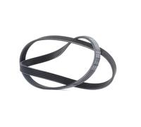 CONTITECH 5PK1150 Cinghia servizi